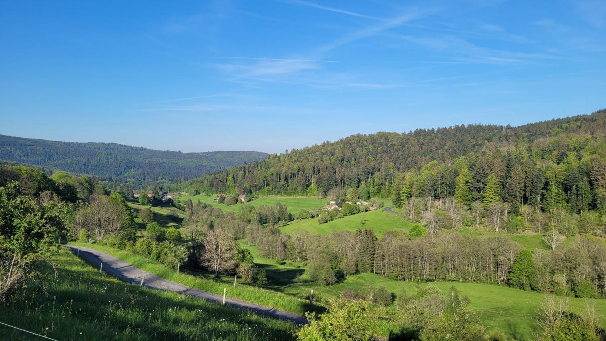 Gasthof La Tete En L'air Le Hohwald