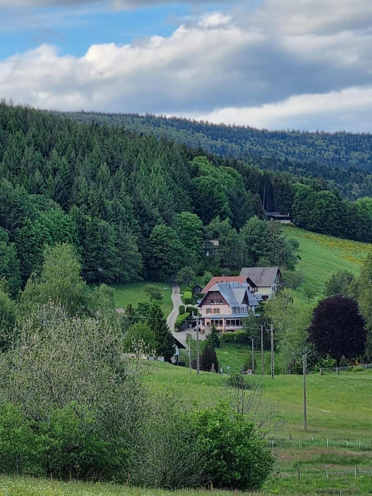 La Tete En L'air * Le Hohwald